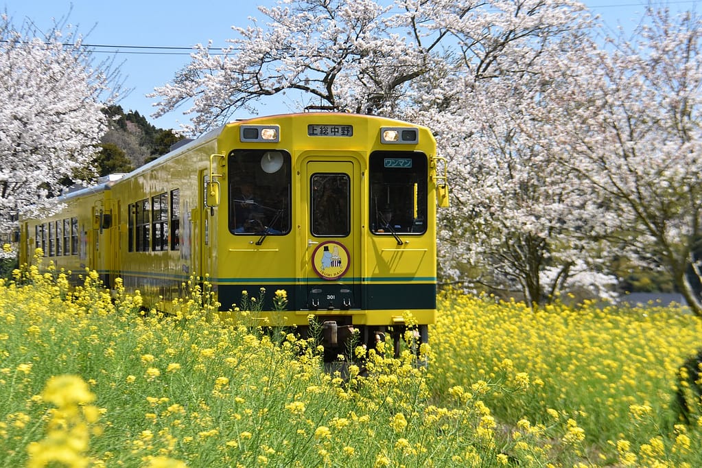 japan, train, travel